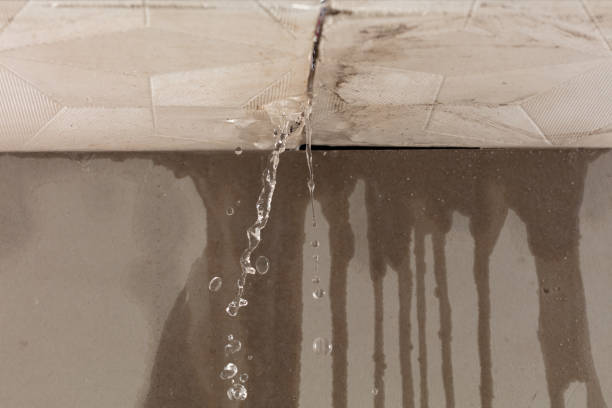 Professional Water Damage Repair technician working in Cresson, TX